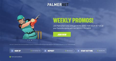 PalmerBet Racing Review 2021 .